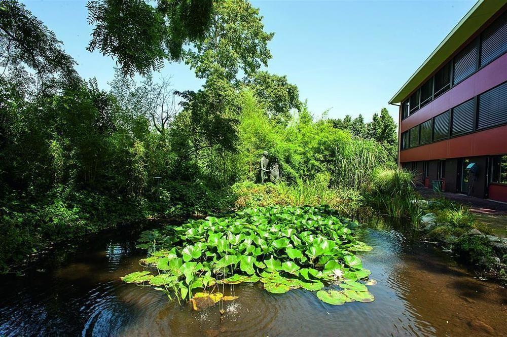 Hotel Coop Tagungszentrum & Hotelpark Im Gruenen Muttenz Exterior foto